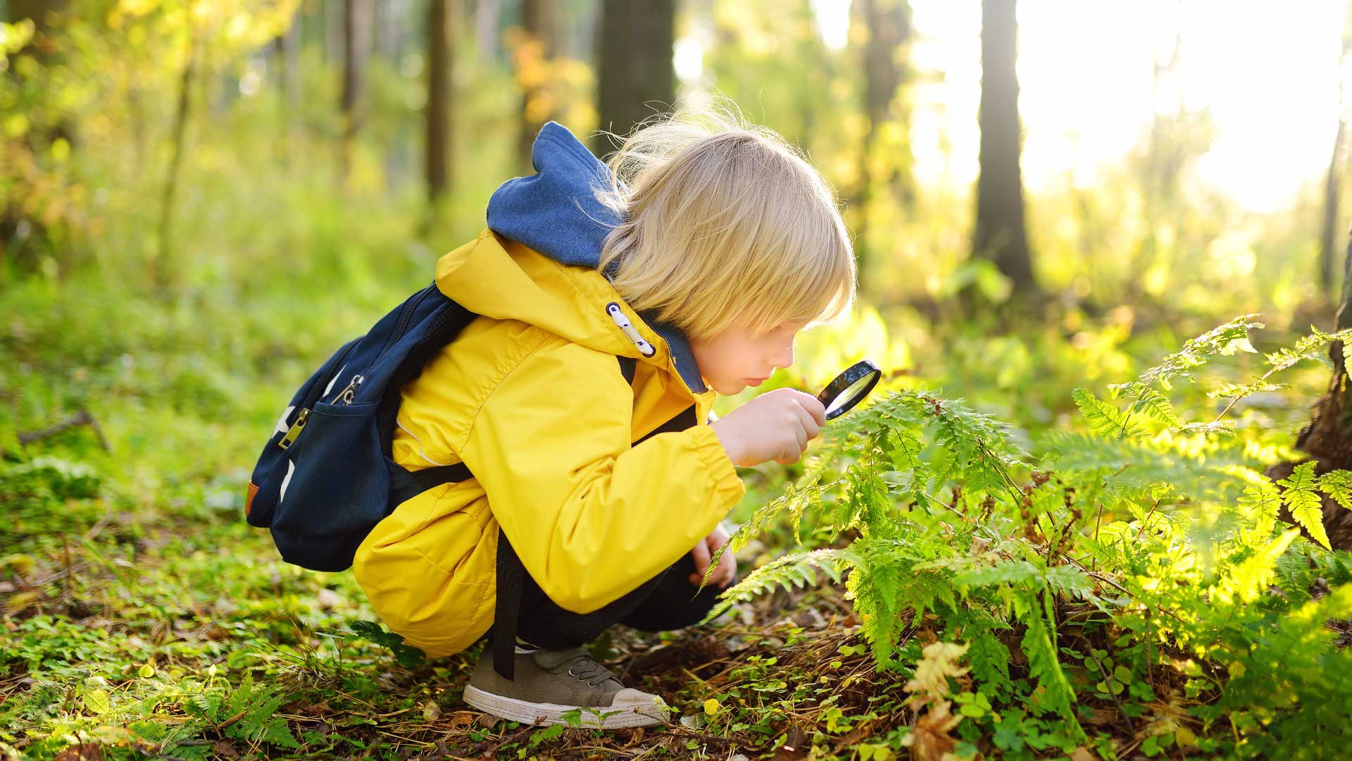 Ein Kind mit gelber Jacke betrachtet neugierig Pflanzen mit einer Lupe im Wald